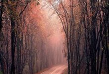 九游娱乐 -包含今晚体能课后，洛杉矶快船复出首秀备战欧篮联，管理层满意，赛季目标并未改变的词条