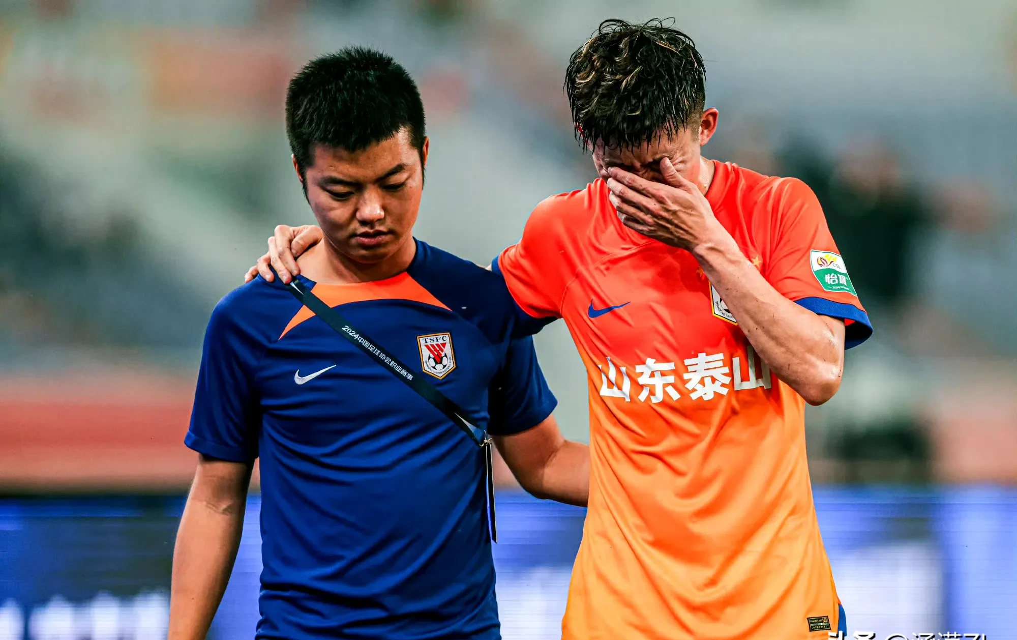 萨克斯鸿雁 萨克斯鸿雁