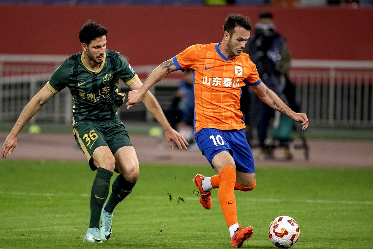 萨克斯鸿雁 萨克斯鸿雁